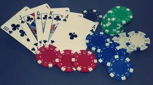 Antarmuka Free Play liga toto di perangkat seluler menampilkan pasar Liga 1 dengan tabel statistik dan navigasi yang responsif